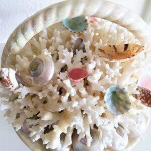 SEA CORAL AND SEA SHELLS basket